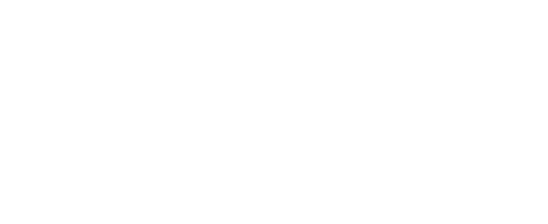 Profnit